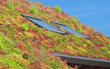Crowborough Warren living roof systems